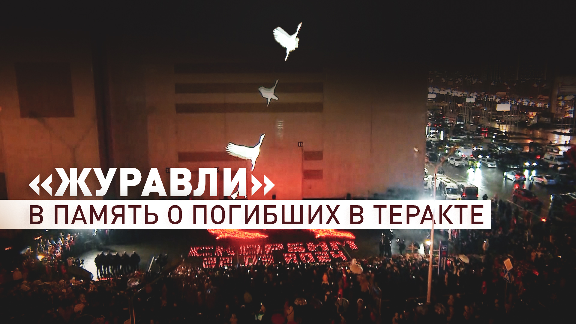 Акция Летят журавли