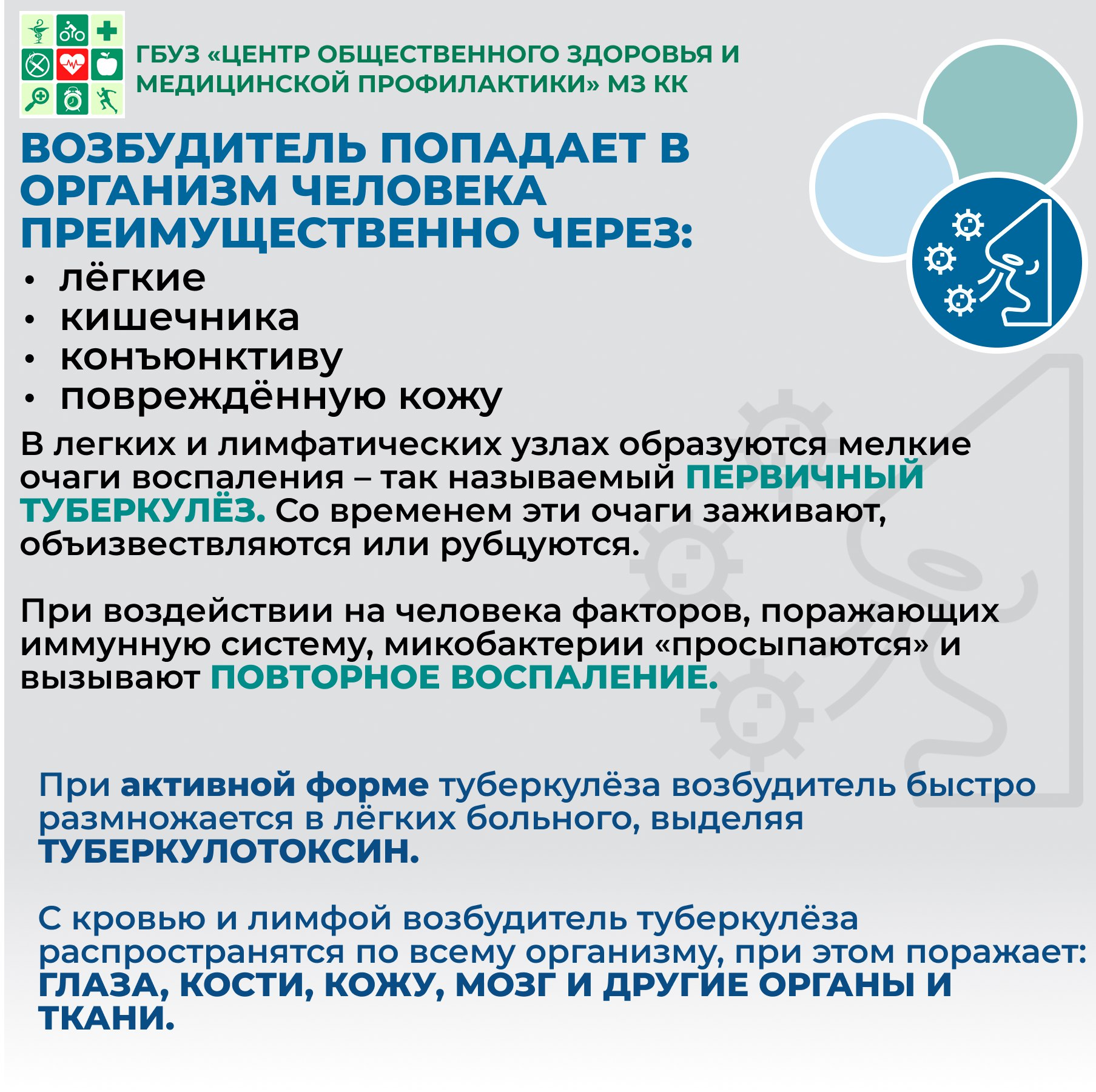 Неделя профилактики инфекционных заболеваний
