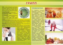 listovka-gripp-2