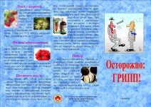 profilaktika-orv-60-min